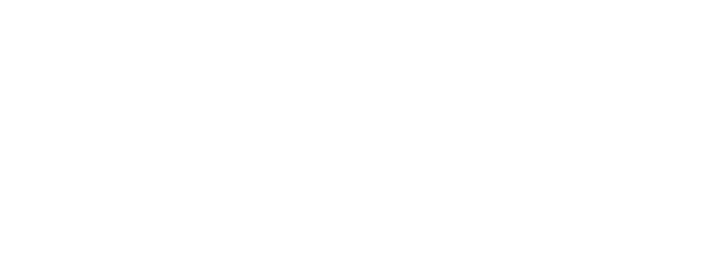 CAE logo in white color